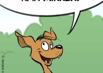 De alwetende Chihuahua