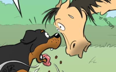 Ik kan zo een heel paard op!