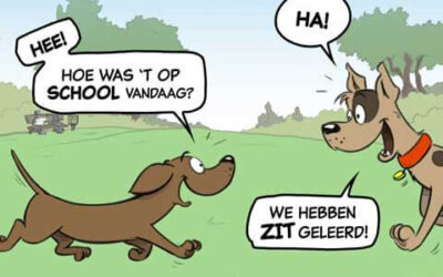 De Zit-oefening