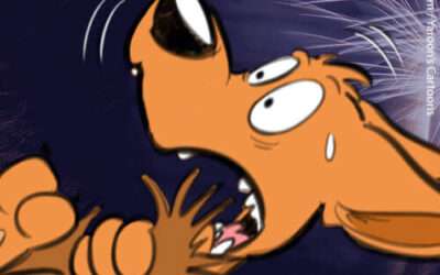 Fijne jaarwisseling! (?)