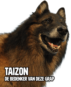 Taizon, de Tervuerense herder die de grap van dit stripverhaaltje in de praktijk uitvoerde. Een sterk staaltje Klassieke Conditionering.