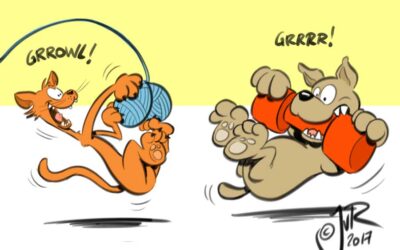 Beheers je instincten!