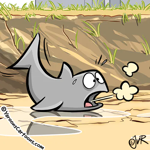 Cartoon Lamb Weston - sustainability programma